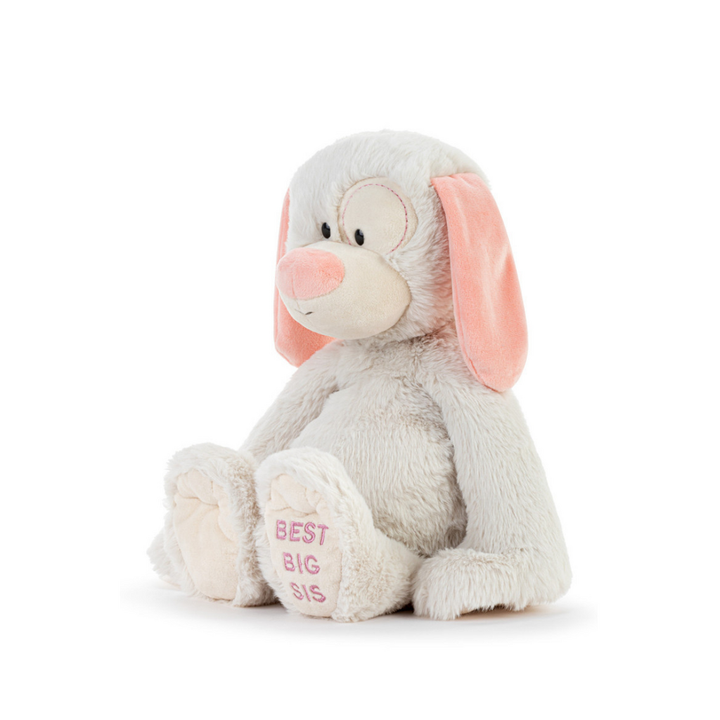 Best Big Sister Dog Plush
