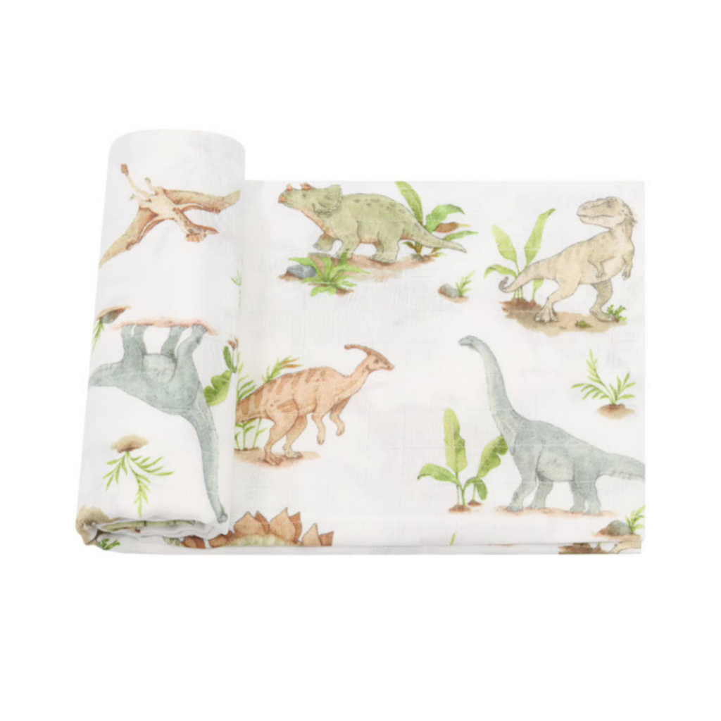 Dinosaur Swaddle