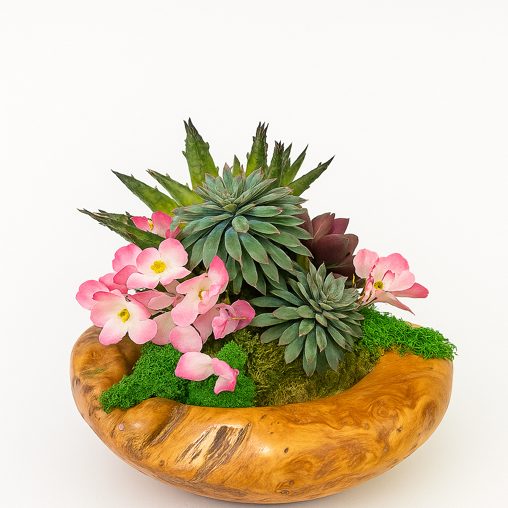 Blush Succulent Harmony in Carved Wood Bowl