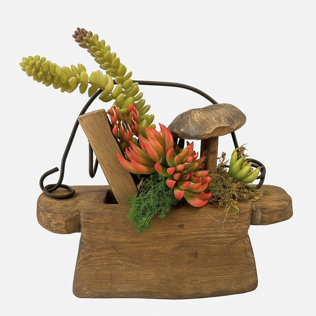 Succulent & Mushroom Garden in Rustic Wooden Planter
