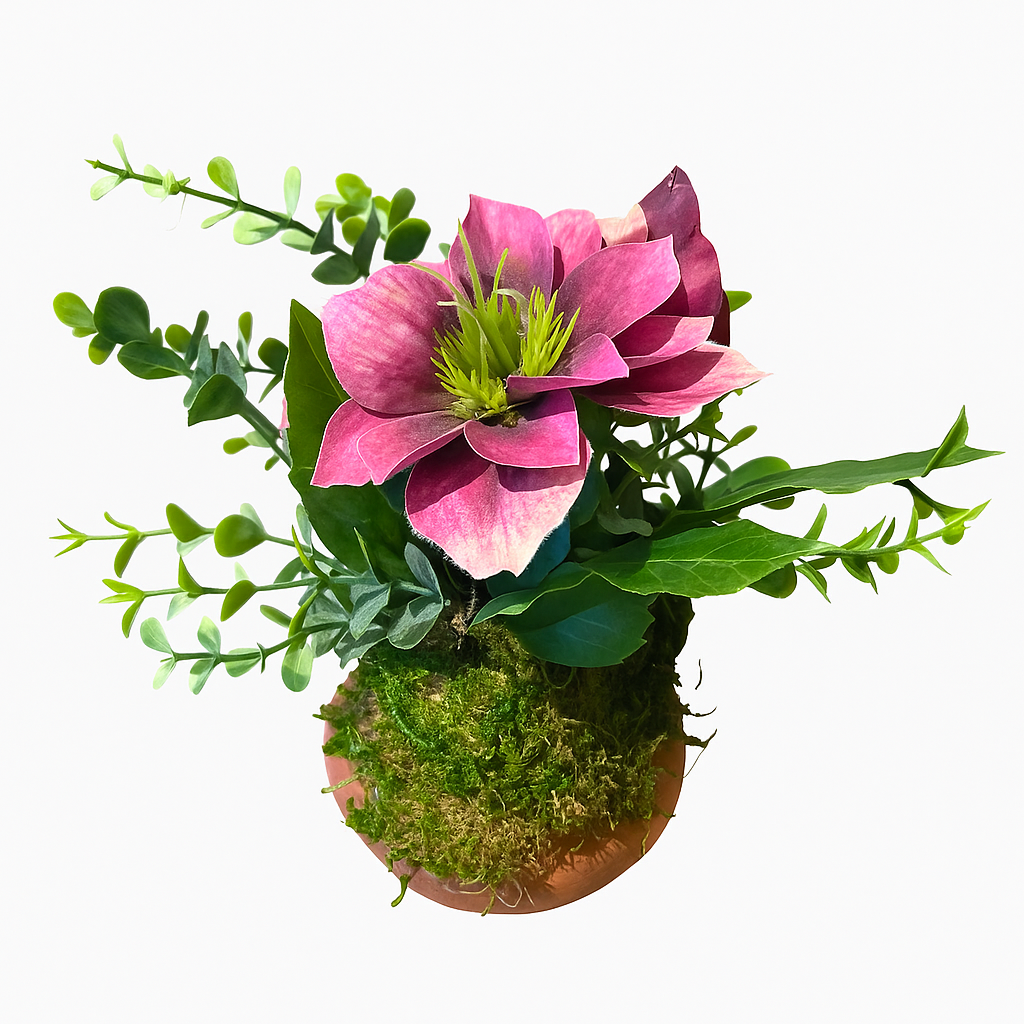 Magenta Bloom Arrangement in Mossy Terracotta Pot
