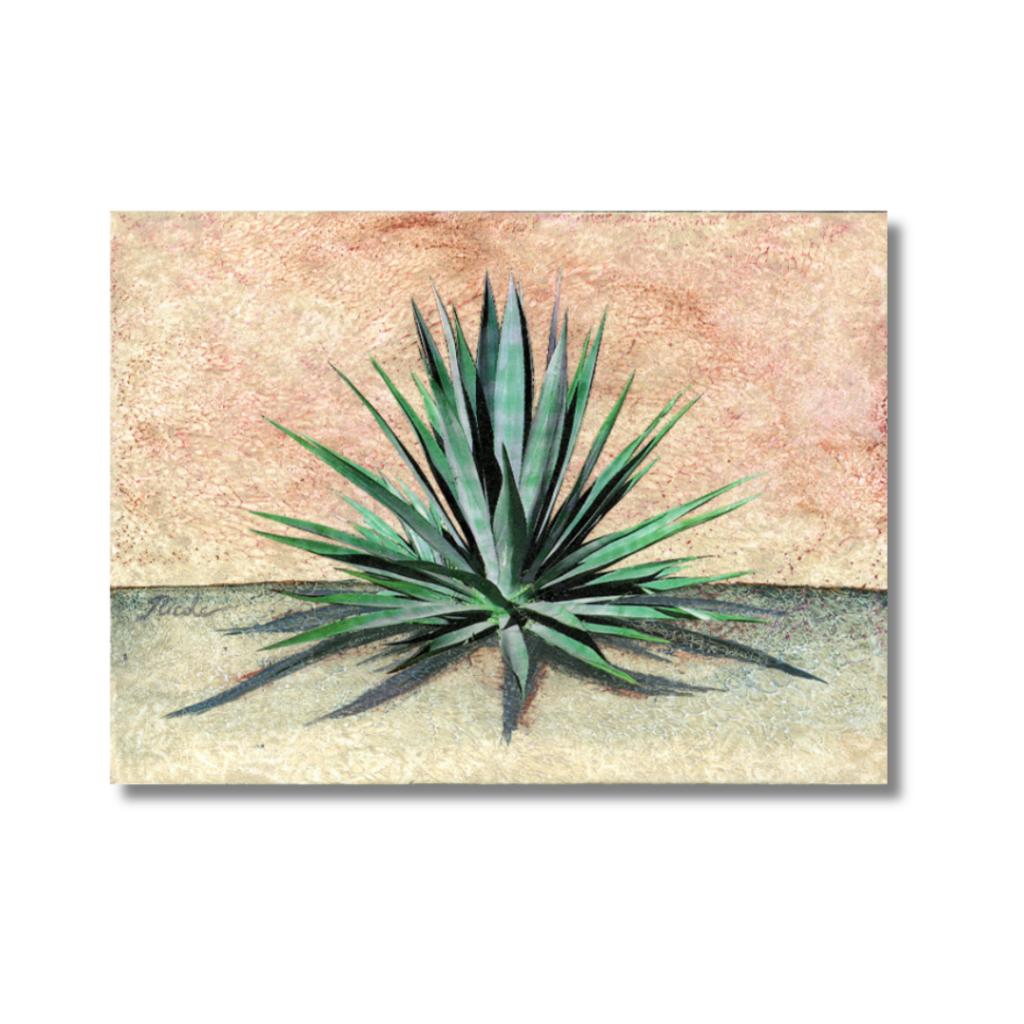 Blue Yucca Cactus Greeting Card