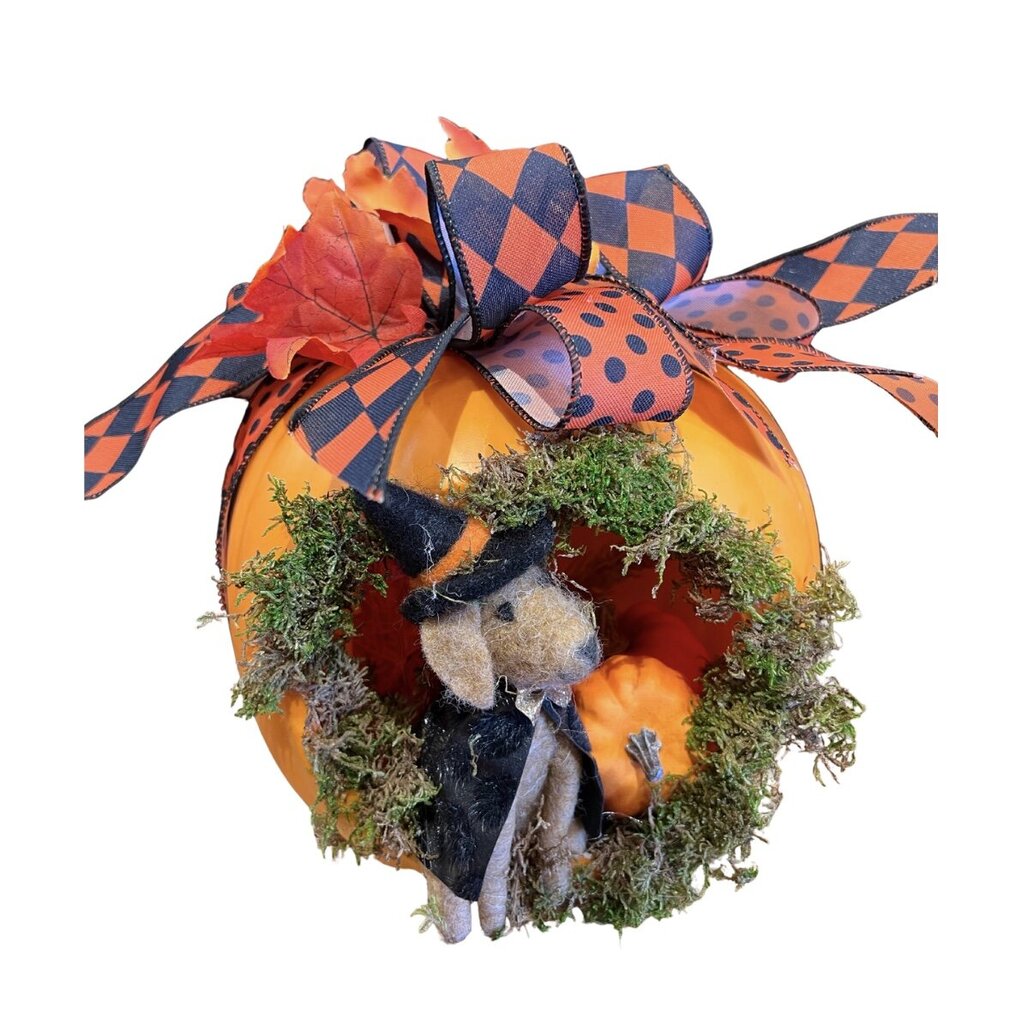 Witch Dog in Pumpkin Halloween Arrangement