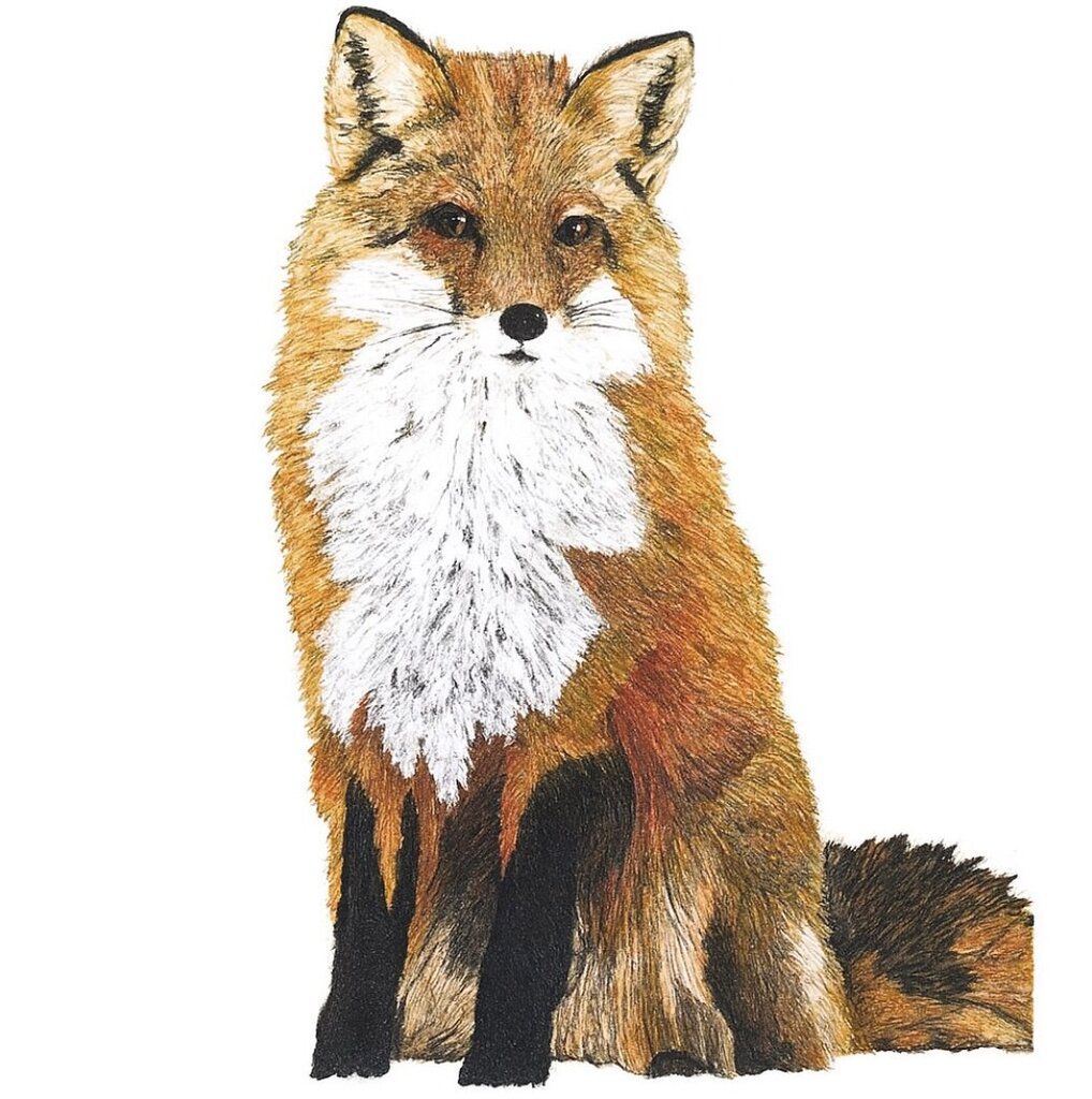 11x14 Prints - Foxy Lady