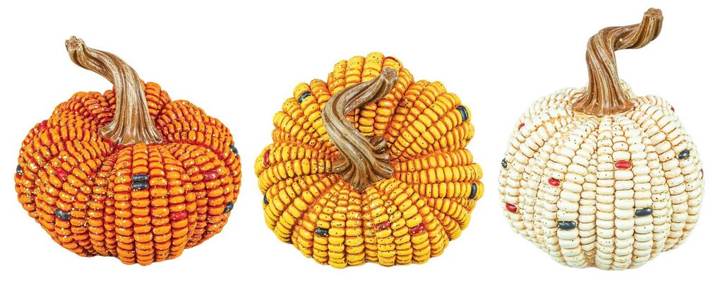 Small Maize Harvest Pumpkins
