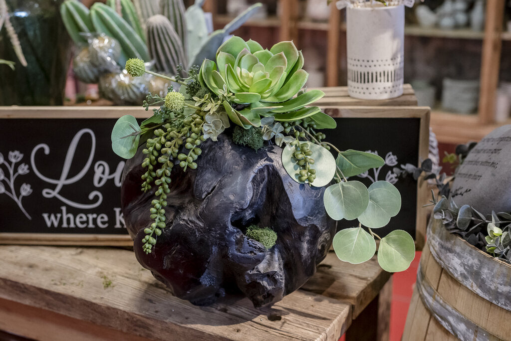 Black Teak Ball W/ Succulents