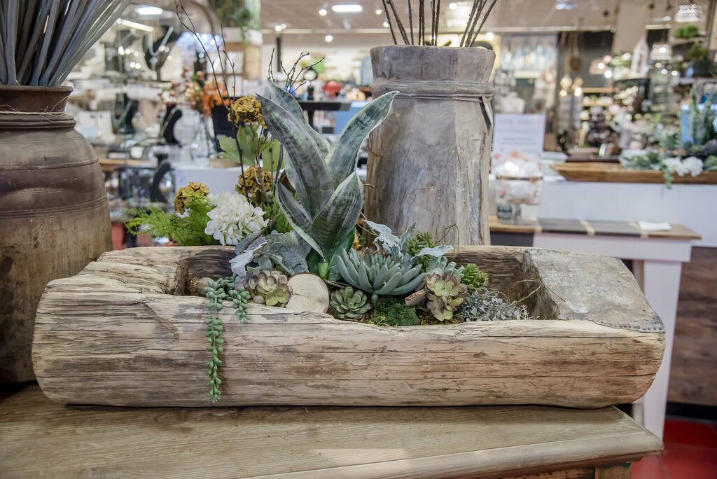 Log Succulent Arrangement in Trough