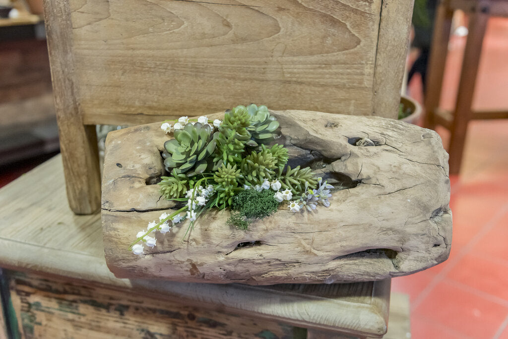 Log w/ Succulents