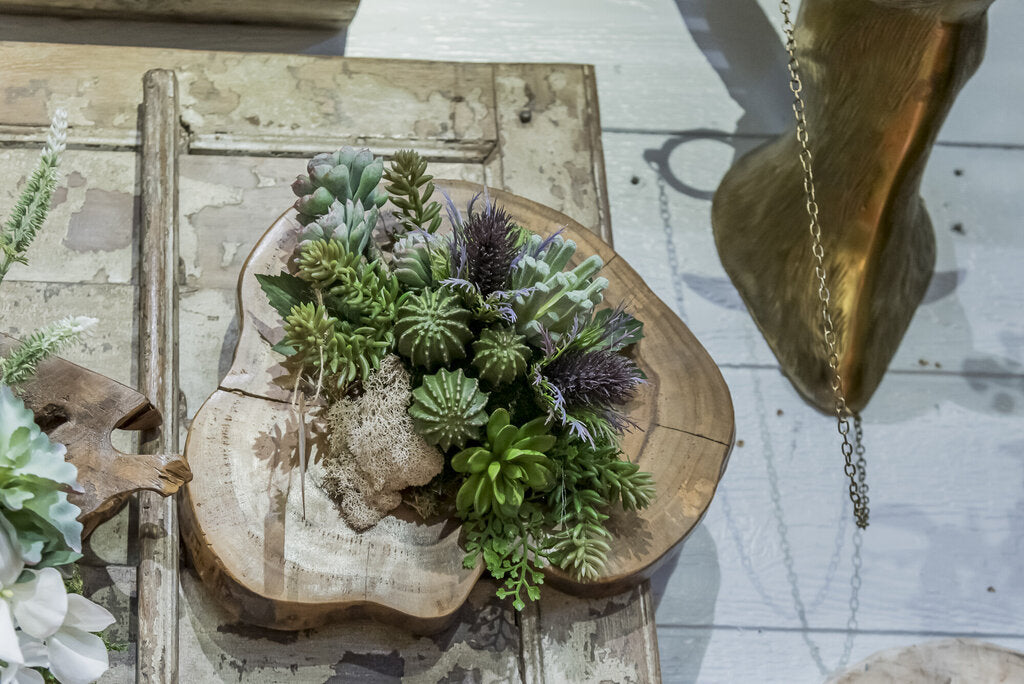 Succulent Arrangement on Wood Slat