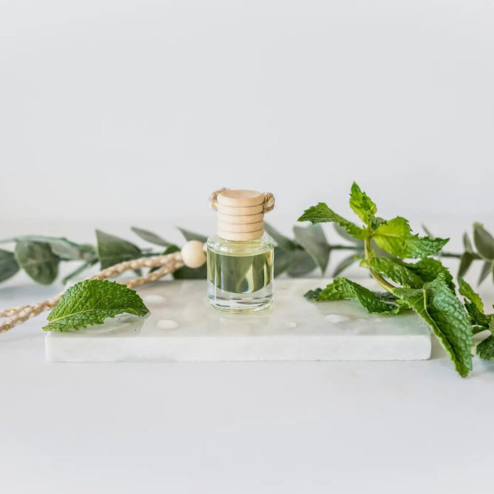 Car Diffuser - Eucalyptus Rain