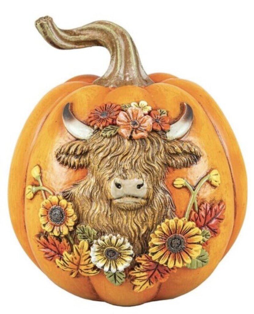 Harvest Highland Cow Pumpkin