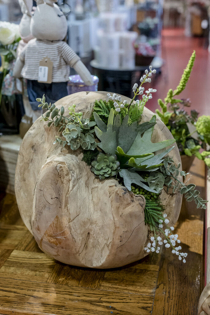 Teak Ball w/ Succulents