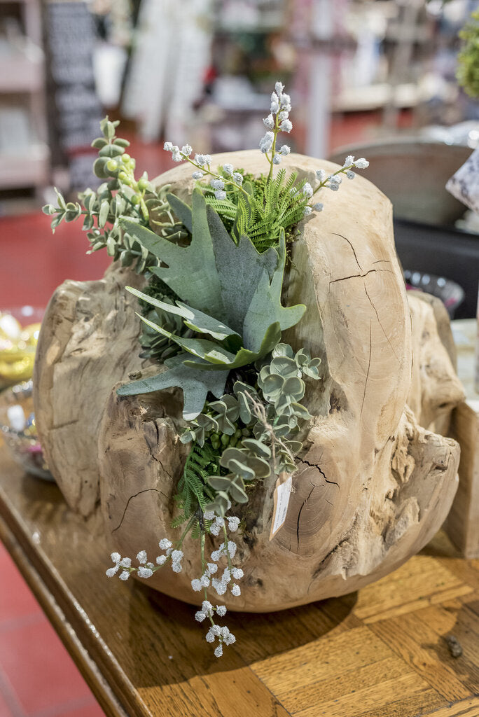 Teak Ball w/ Succulents